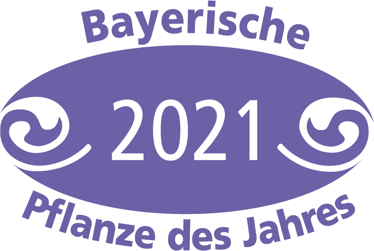 Bayerische Pflanze des Jahres 2021